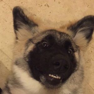 Meet your Posher, Lindsay